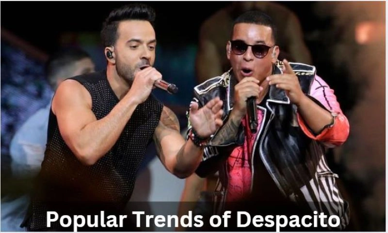 Despacito Song Translation Spanish to English - Popular Trends