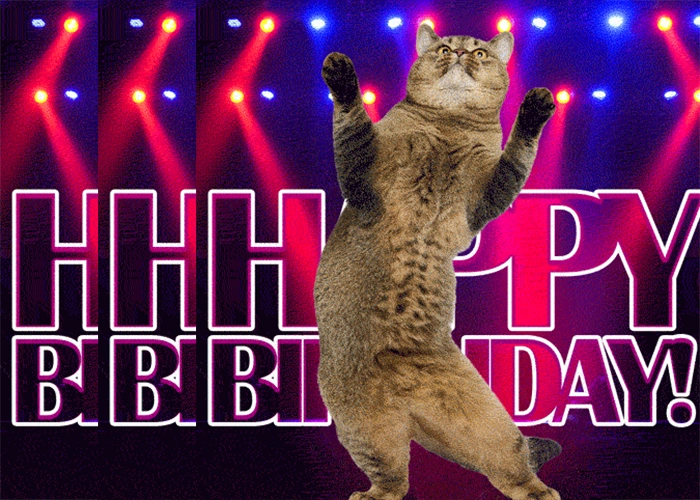 Make Animal Dance AI Videos and GIFs - Top 3 Online Free Tools